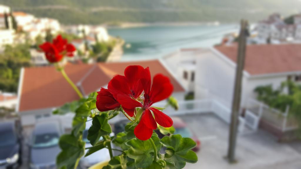 Apartmani Piccolotti Neum Esterno foto